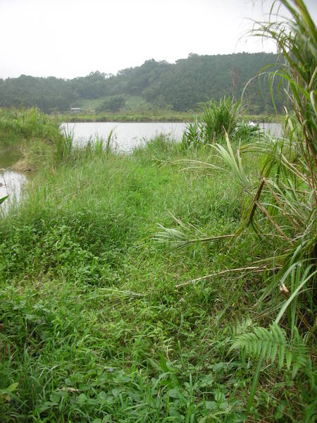 DSCN4807.JPG