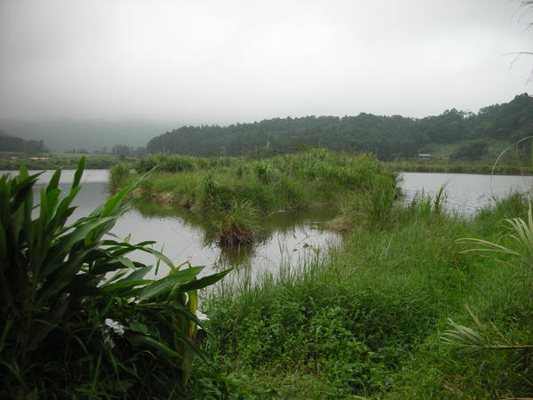 DSCN4808.JPG