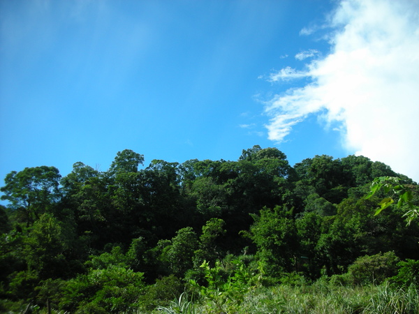 DSCN4362.JPG