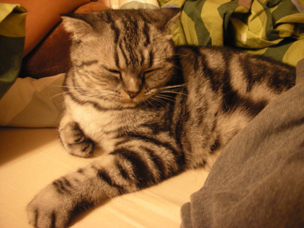 DSCN5013.JPG