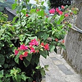 IMG_0122.JPG