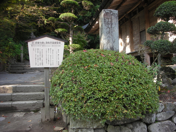 DSCN0141.JPG