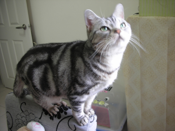 DSCN0813.JPG