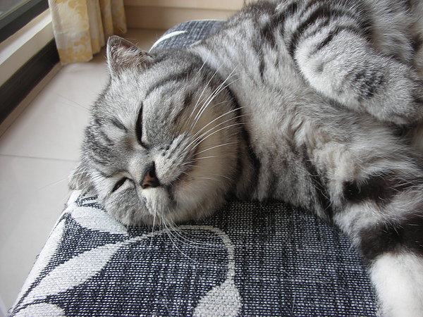 DSCN0128.JPG