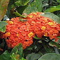 IMG_0091.JPG