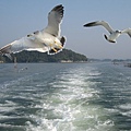 IMG_0417.JPG