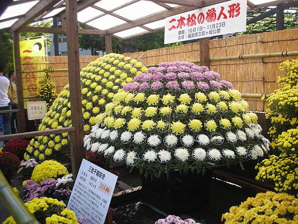 DSCN0416.JPG