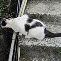IMG_0134.JPG