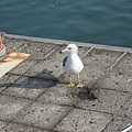 IMG_0448.JPG