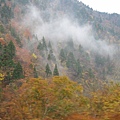 IMG_0487.JPG