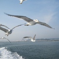IMG_0429.JPG