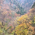 IMG_0485.JPG