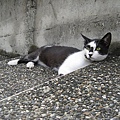IMG_0033.JPG