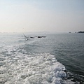 IMG_0437.JPG