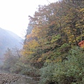 IMG_0529.JPG