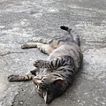 IMG_0064.JPG