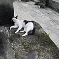 IMG_0132.JPG