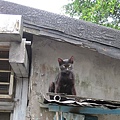 IMG_0056.JPG