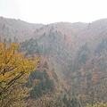 IMG_0483.JPG