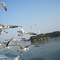 IMG_0406.JPG