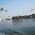 IMG_0405.JPG