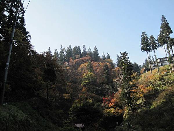 IMG_0278.JPG