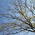 IMG_0451.JPG