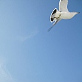 IMG_0441.JPG
