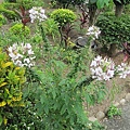 IMG_0037.JPG