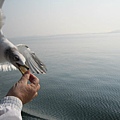 IMG_0413.JPG