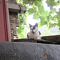 IMG_0076.JPG