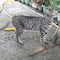 IMG_0079.JPG
