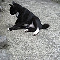 IMG_0061.JPG