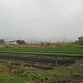 IMG_0497.JPG