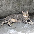 IMG_0005.JPG