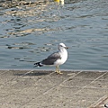 IMG_0445.JPG