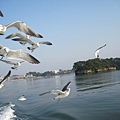 IMG_0404.JPG