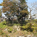 IMG_0460.JPG