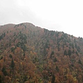 IMG_0484.JPG