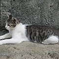 IMG_0100.JPG