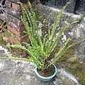 IMG_0047.JPG