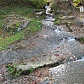 IMG_0478.JPG