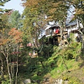 IMG_0477.JPG