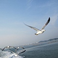 IMG_0426.JPG