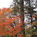 IMG_0506.JPG