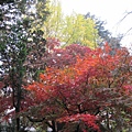 IMG_0514.JPG