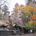IMG_0507.JPG
