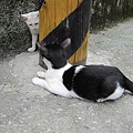 IMG_0087.JPG
