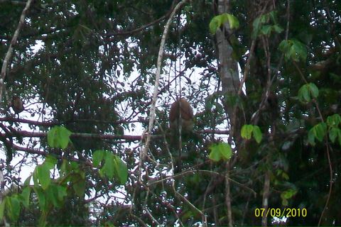 100_3873.JPG