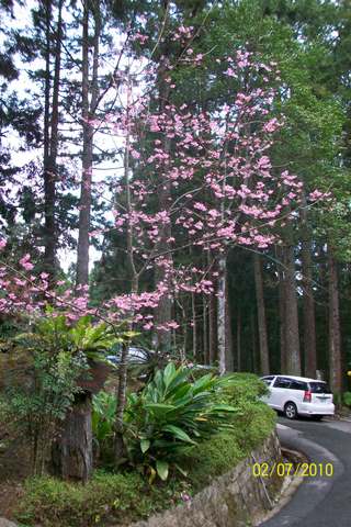 100_2401.JPG